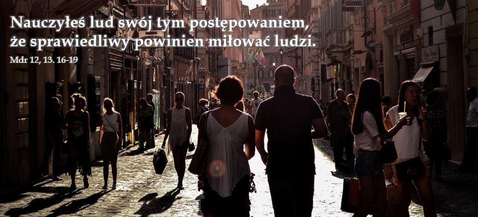 Szesnasta Niedziela zwykła