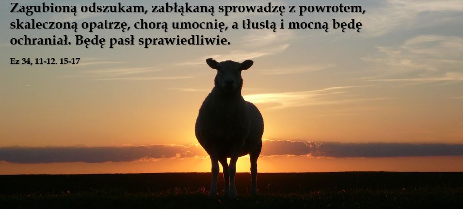 JEZUSA CHRYSTUSA KRÓLA WSZECHŚWIATA