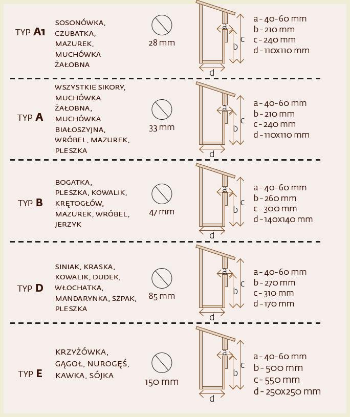 ptaki.jpg